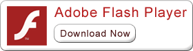 Download Flash Player